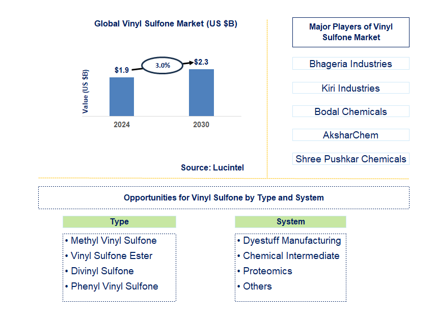 Vinyl Sulfone Trends and Forecast